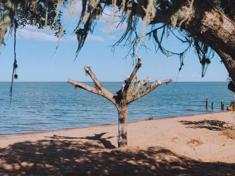 volta-a-valer-a-lei-que-dispoe-sobre-o-manejo-racional-da-vegetacao-no-municipio-de-arambare