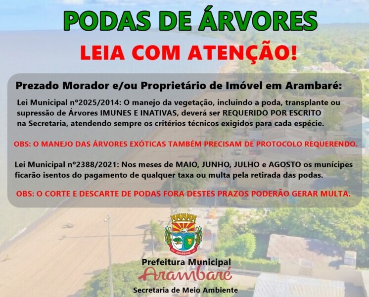 meio-ambiente-libera-podas-de-arvores-nos-meses-de-maio-junho-julho-e-agosto