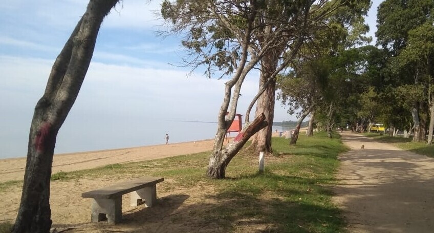 meio-ambiente-informa-inicio-das-podas-de-arvores-na-orla-da-praia-em-arambare